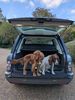 Filename : 1000060218.jpg
Filesize : 582KB
Dimensions : 1537x2047
Date added : Oct 18, 2024 1000060218.jpg