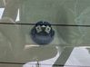 IMG_8567.jpeg