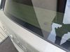 IMG_8568.jpeg
