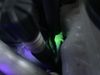 IMG_3782.jpeg