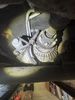 IMG_5228.jpeg