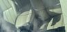 Filename : Screen Crack 22.09.2025.jpg
Filesize : 32KB
Dimensions : 640x306
Date added : Sep 22, 2025 Screen Crack 22.09.2025.jpg