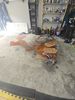 Filename : 1000109857.jpg
Filesize : 596KB
Dimensions : 1536x2048
Date added : Aug 31, 2025 1000109857.jpg